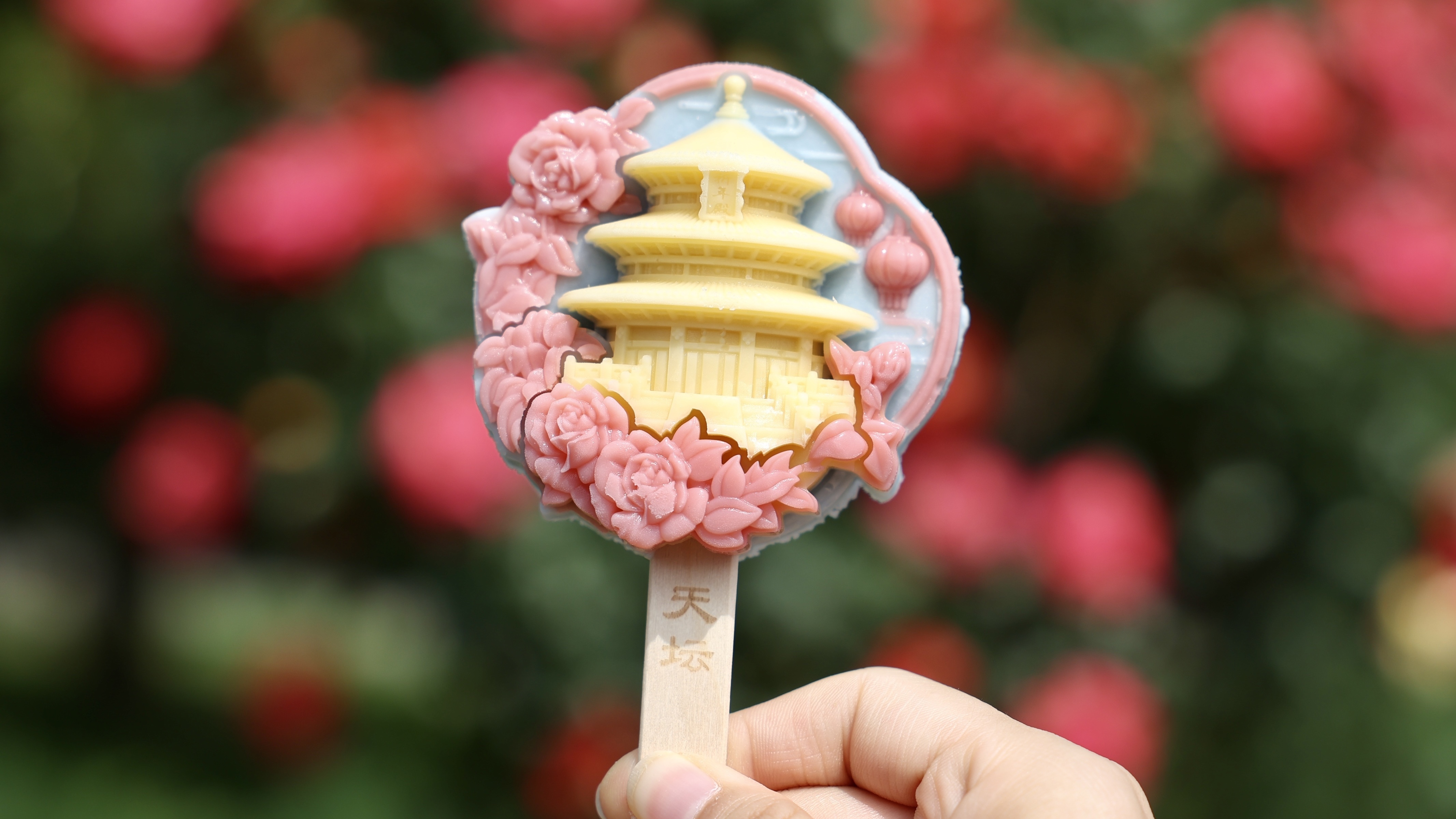 北京这些地方可赏月季，能看到超3000个品种