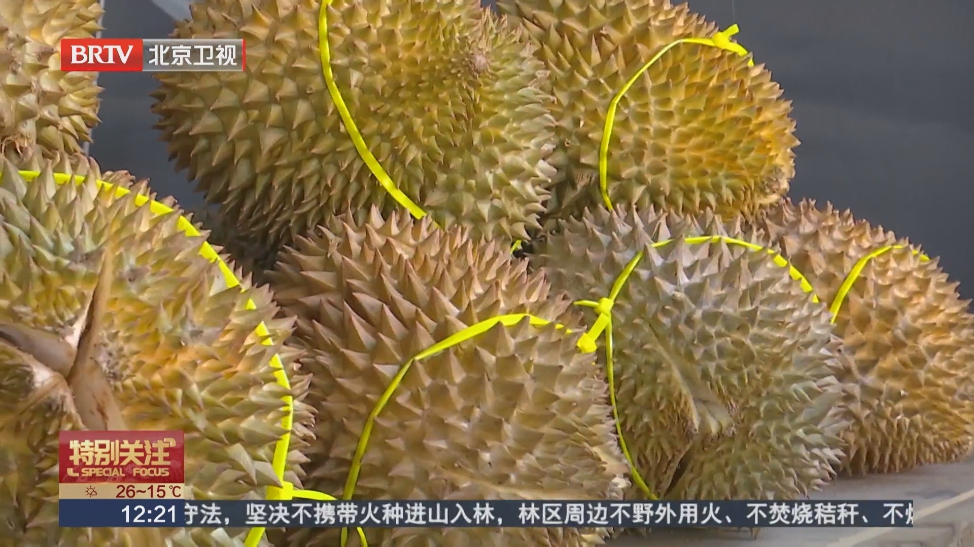 应季水果“更新换代” 市场供应充足价格平稳