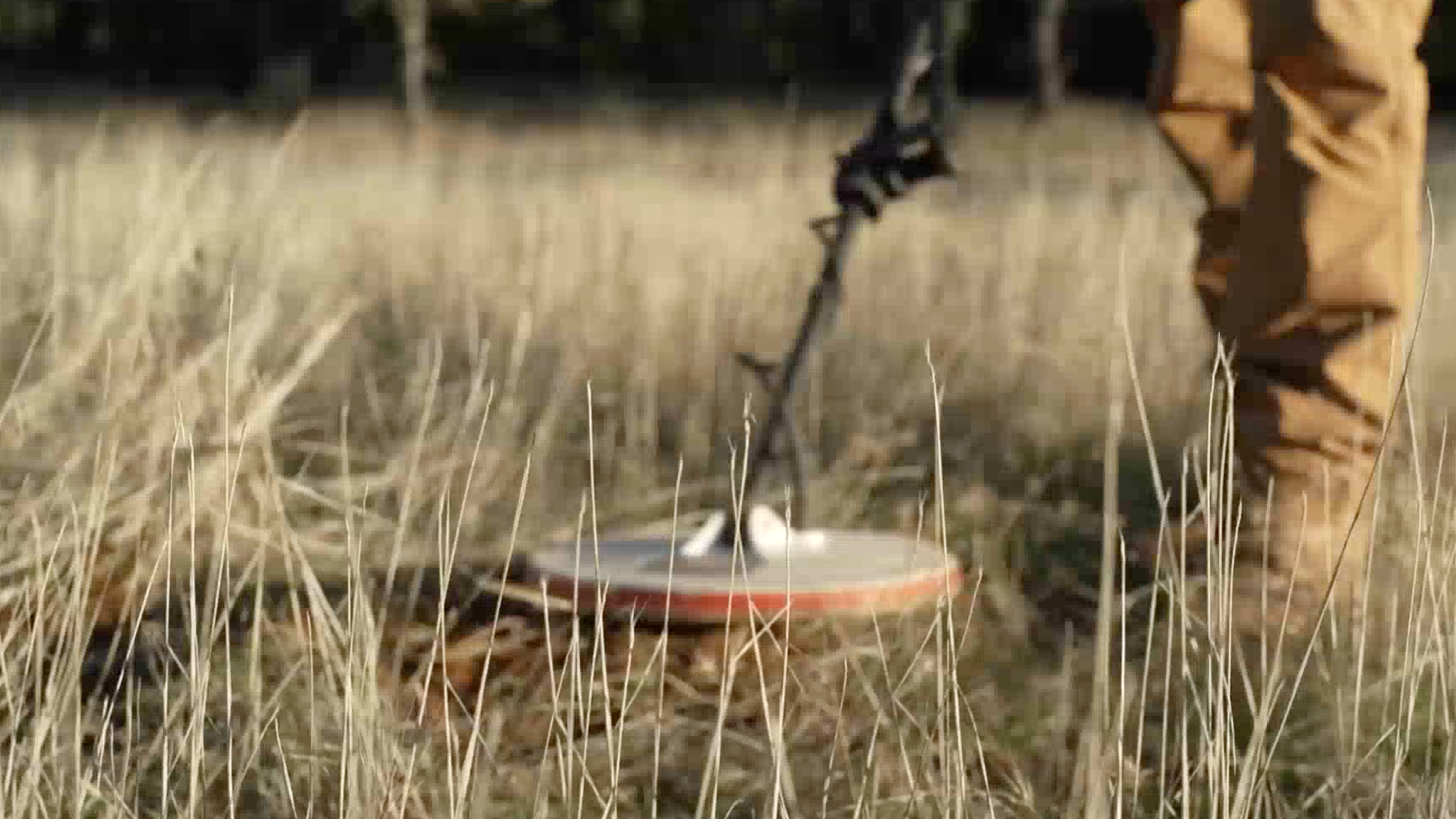 美国加州掀起“淘金热”