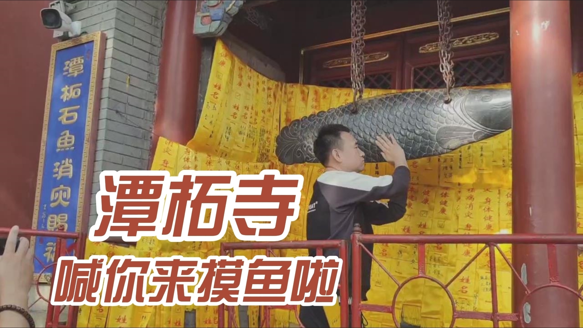速来“摸鱼”！潭柘寺石鱼前排起大长队