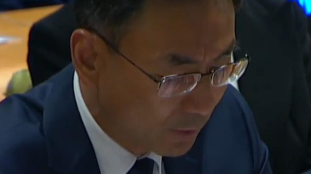 耿爽代表中国向联大主席候选人提问