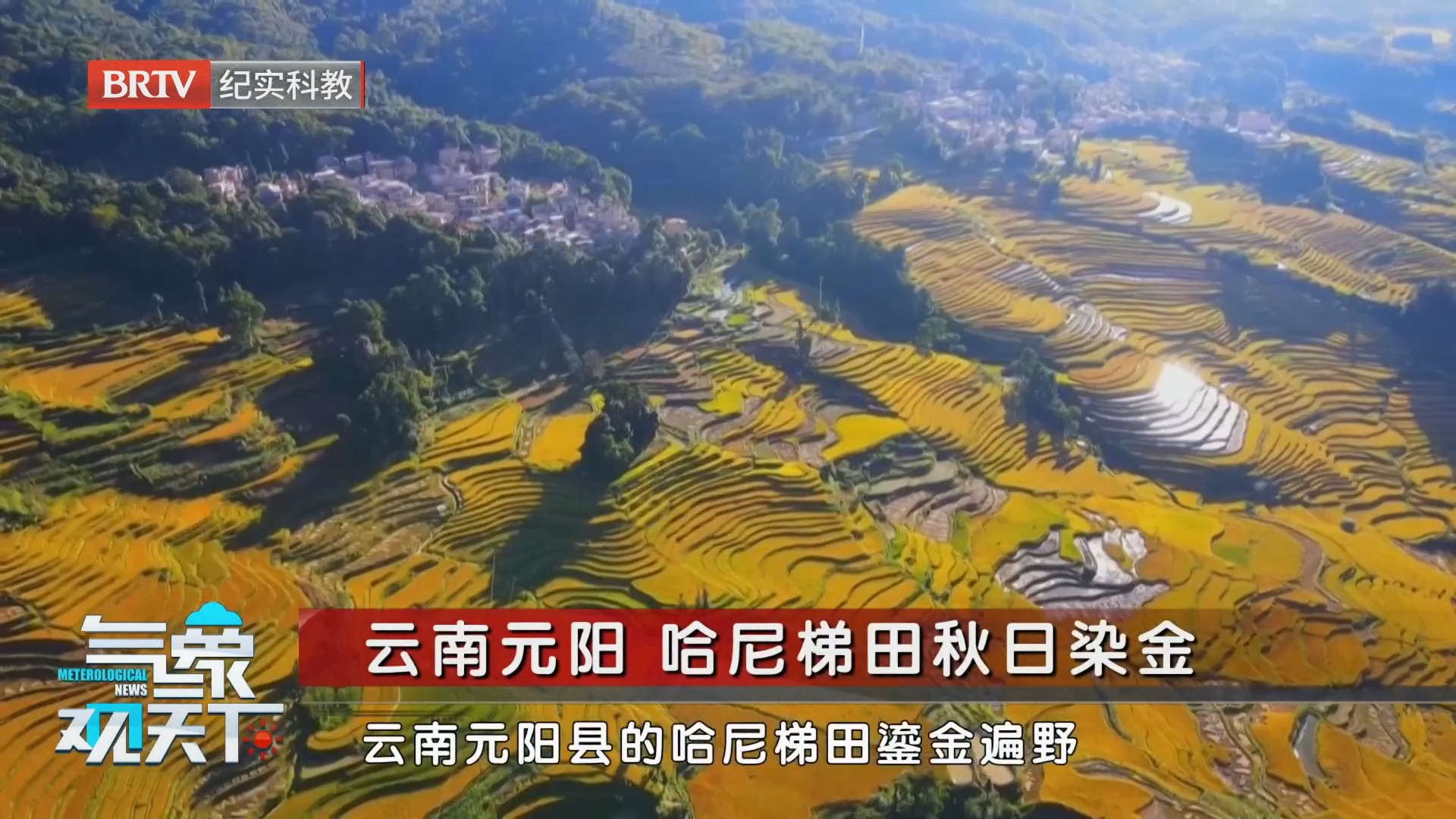 云南元阳 哈尼梯田秋日染金