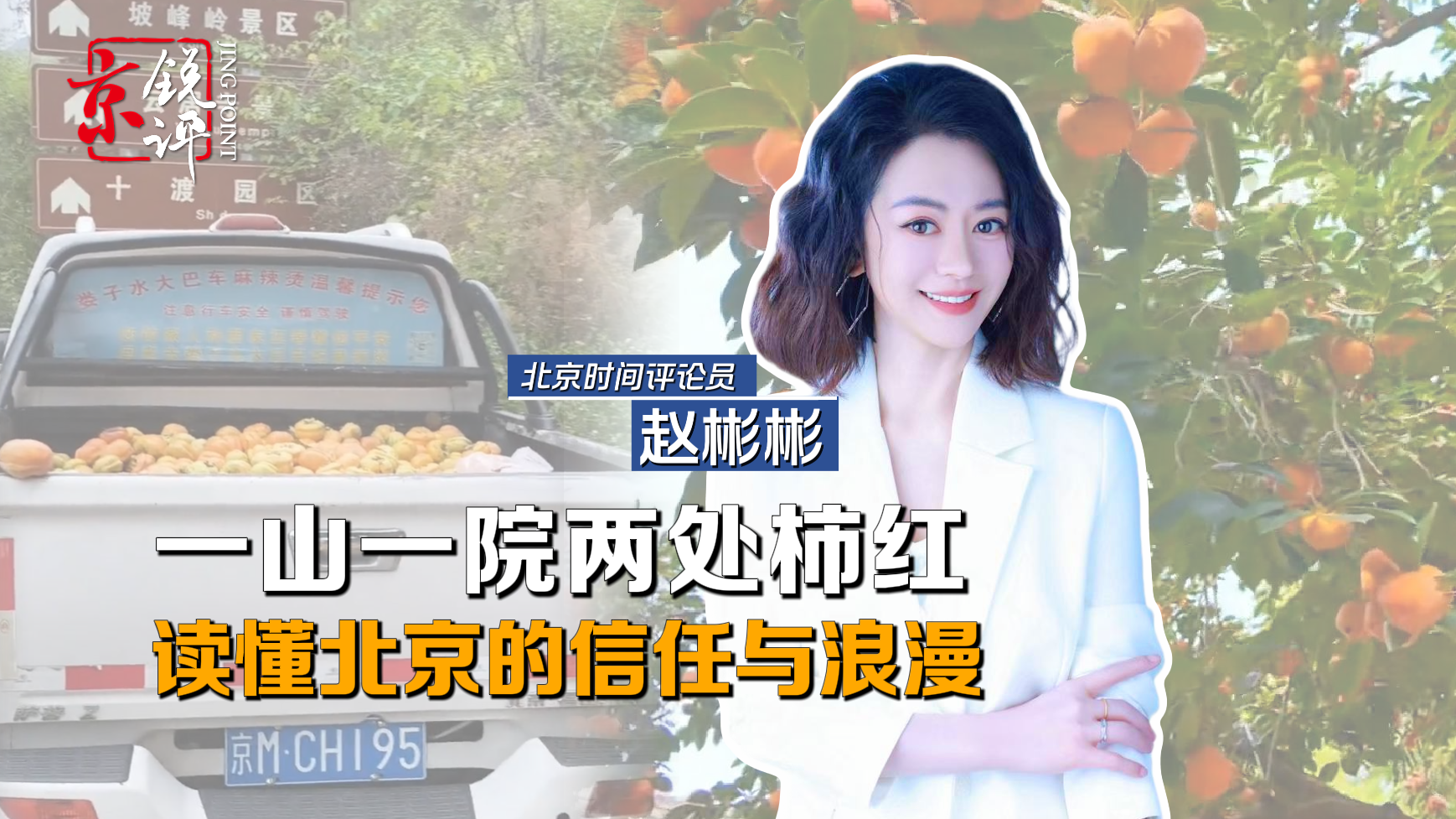 京锐评|一山一院两处柿红,读懂北京的信任与浪漫 京锐评|一山一院两处柿红,读懂北京的信任与浪漫