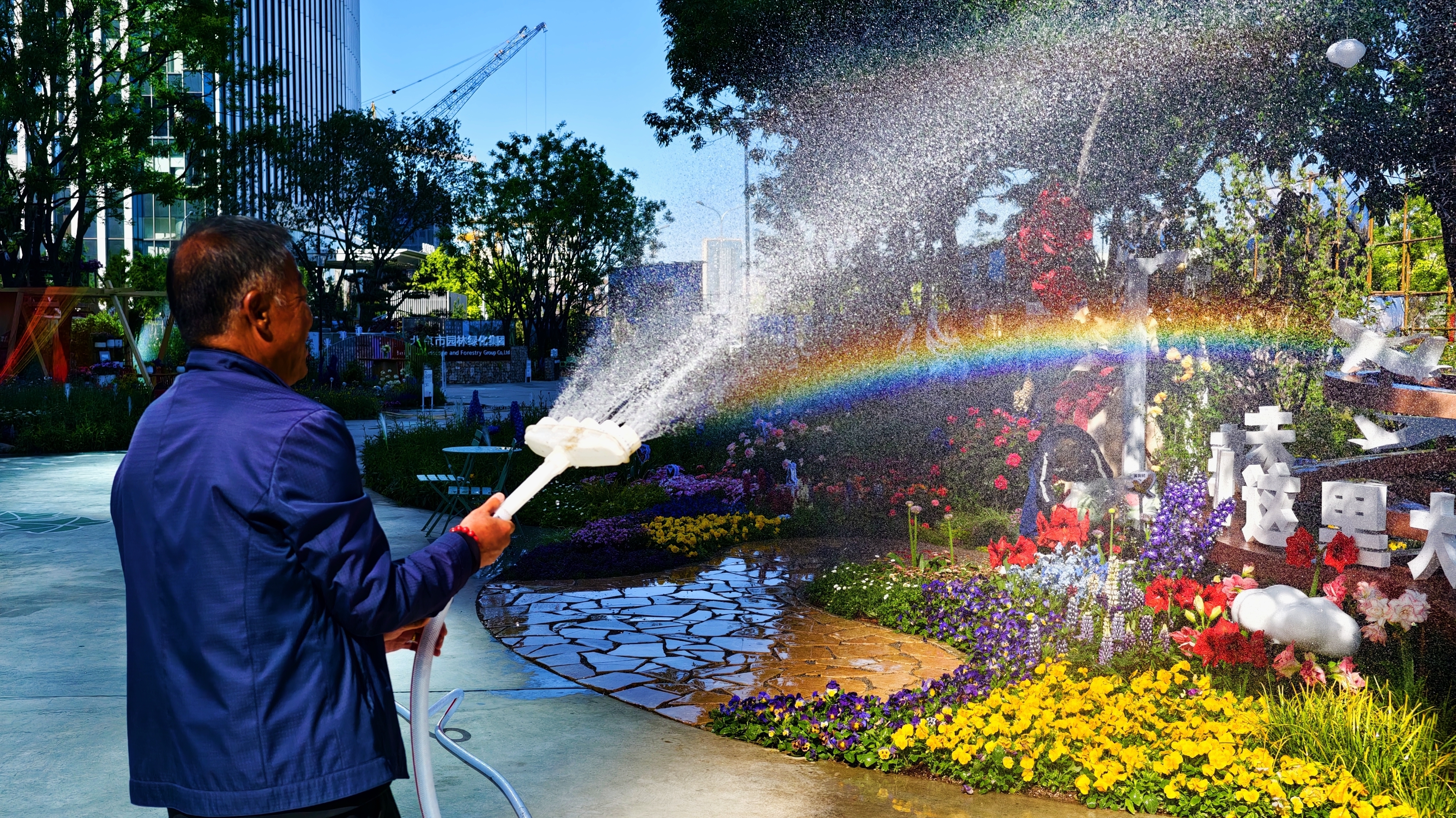 北京国际花展开门前：花工晨浇造“水珠虹桥”