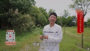 秋季过敏源大揭秘：野外植物园探访