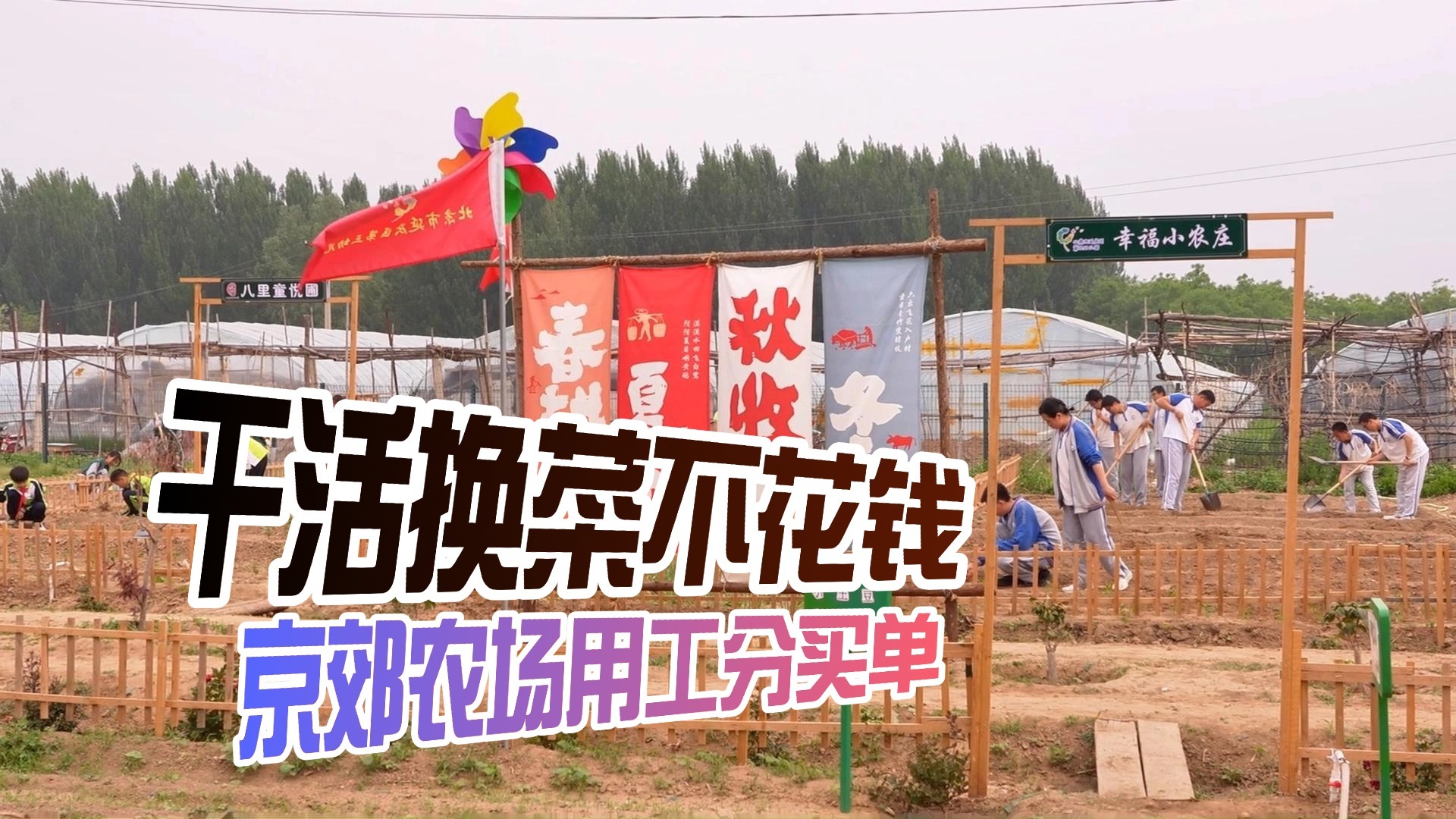 干活换菜不花钱 京郊农场用工分买单 干活换菜不花钱 京郊农场用工分买单