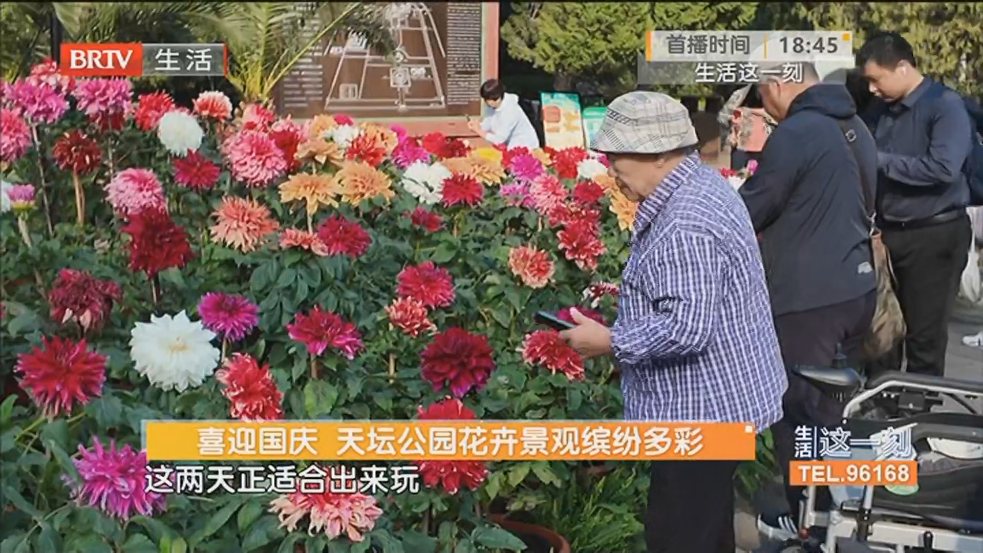 喜迎国庆 天坛公园花卉景观缤纷多彩