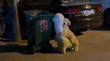 小狗不舍玩坏了的玩具 跑到垃圾桶旁边找 小狗不舍玩坏了的玩具 跑到垃圾桶旁边找