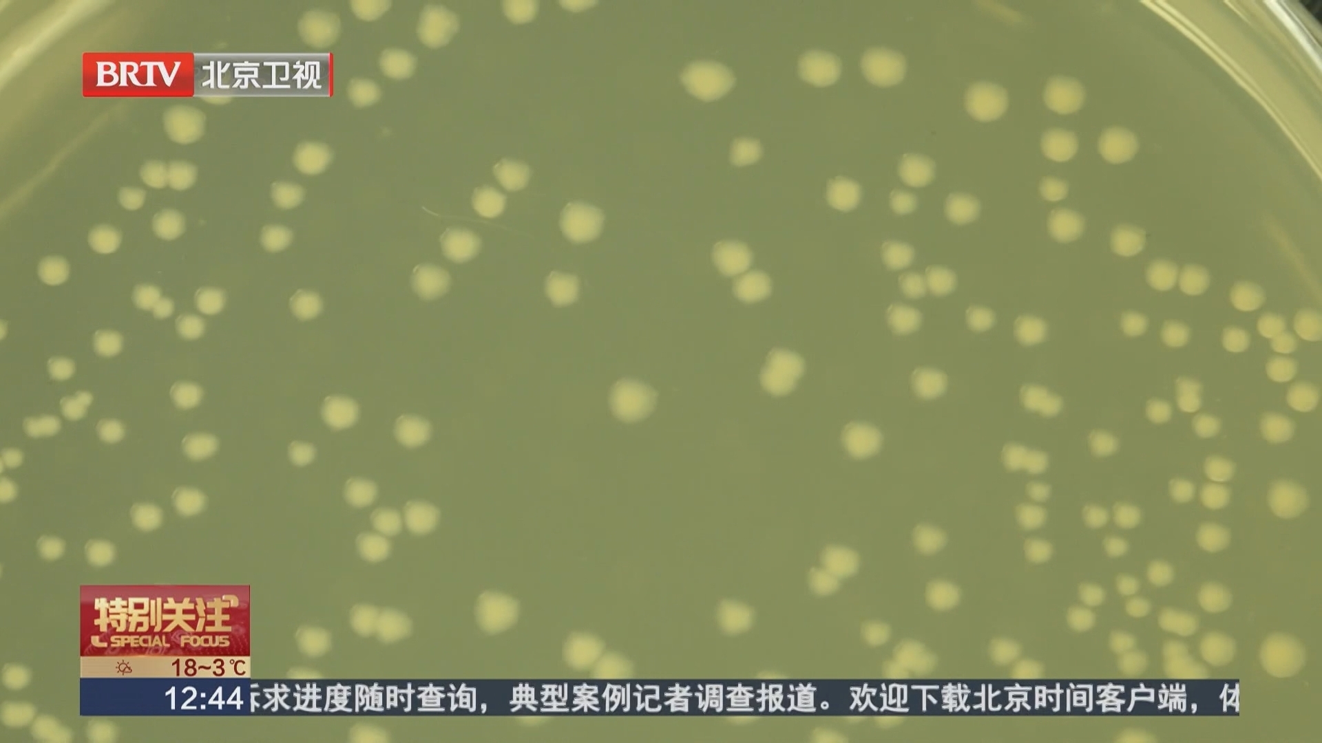 “破壁者”陈建国：从跟跑到超越