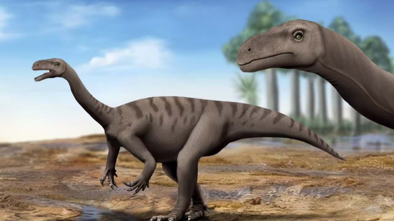 我国团队首次为云南恐龙提供精准“年龄”