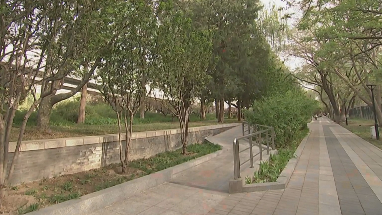 促进绿化彩化美化生态空间建设 市政协委员开展议政会前调研