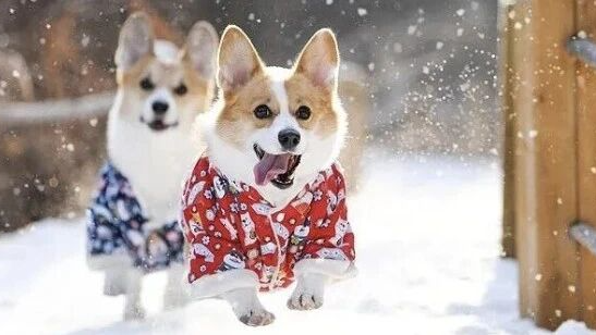 今日惊蛰,还有雪!具体时间—— 今日惊蛰,还有雪!具体时间——