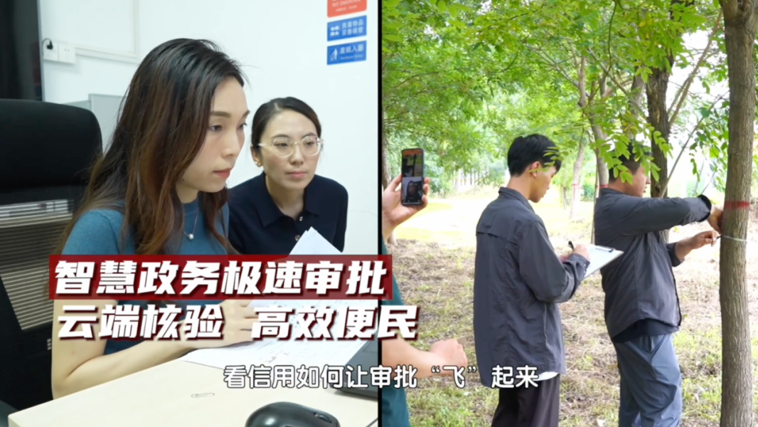 智慧政务服务“秒批”背后的力量