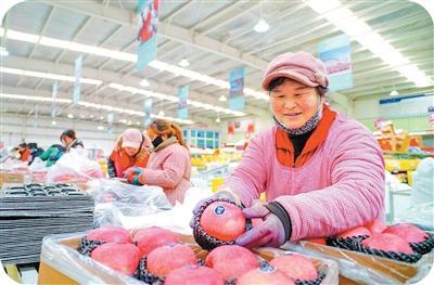 外国网友留言追问：中国苹果为什么又多又好吃？