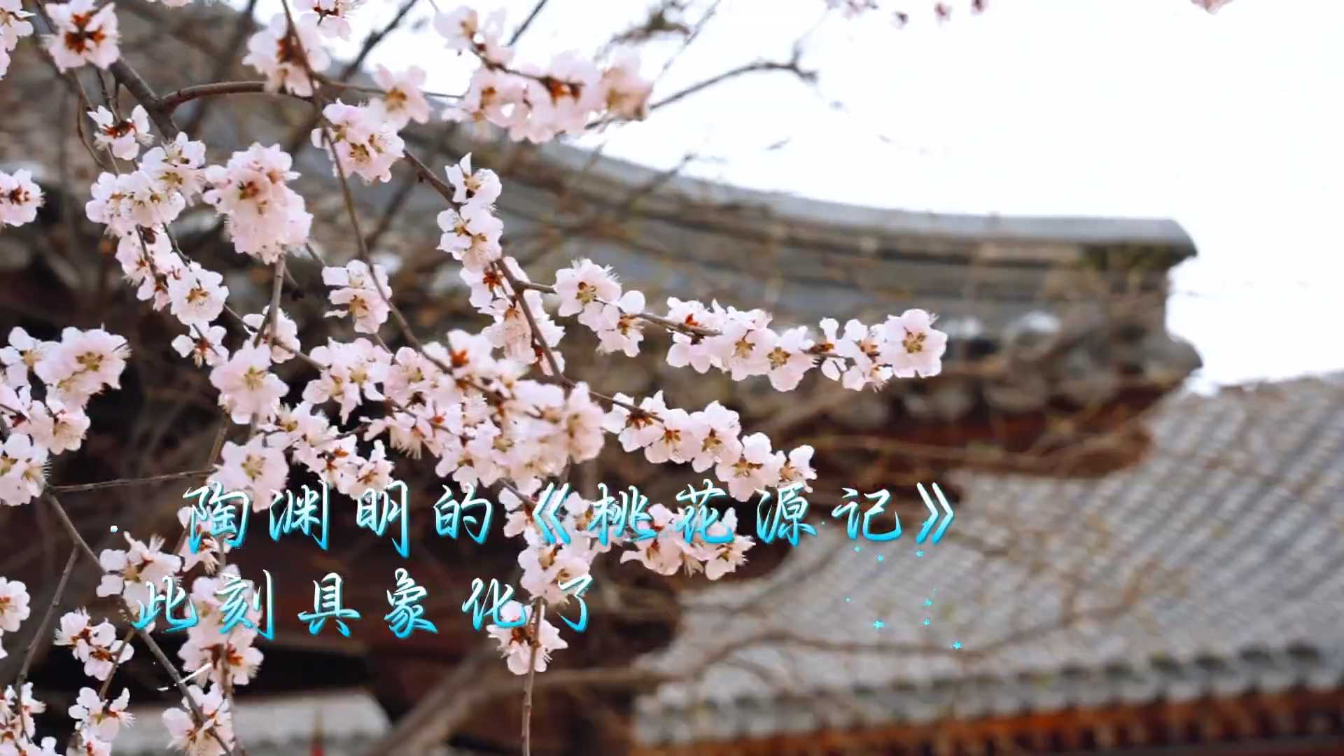 【春日经济】陶渊明的《桃花源记》此刻具象化了