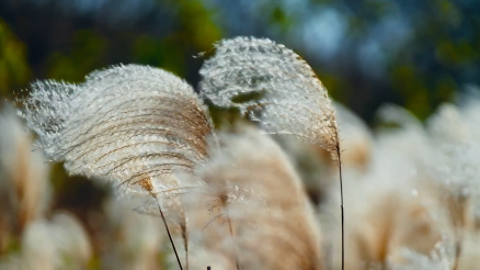 纪录片《大江南》,敬请收看! 纪录片《大江南》,敬请收看!