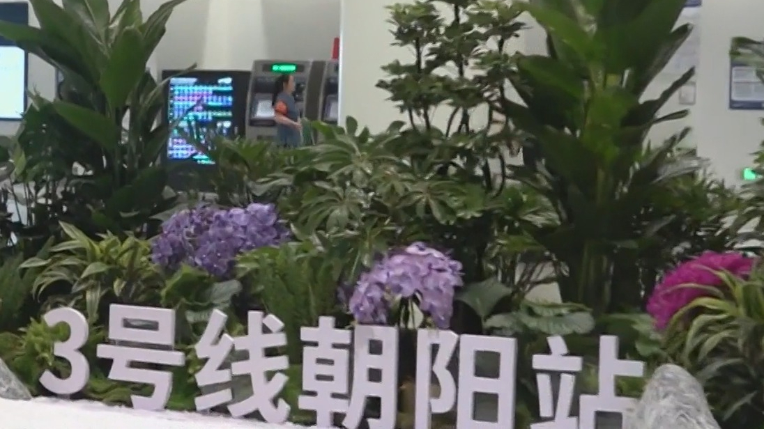 地铁站“长”出花园？就在3号线朝阳站