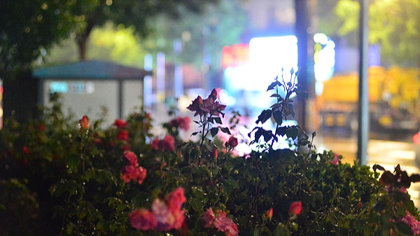 北京本轮降水已基本结束，今夜东南部地区有轻雾