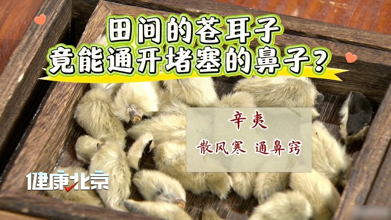 田间的苍耳子，竟能通开堵塞的鼻子？