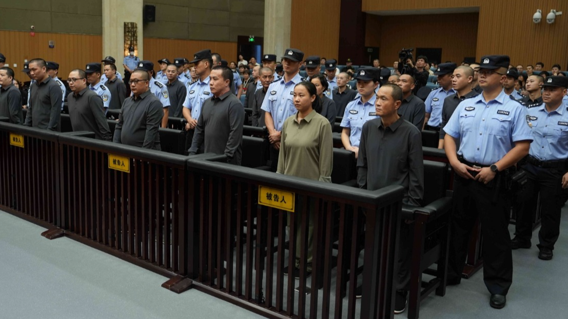 “两高”工作报告,点了这些案件 “两高”工作报告,点了这些案件