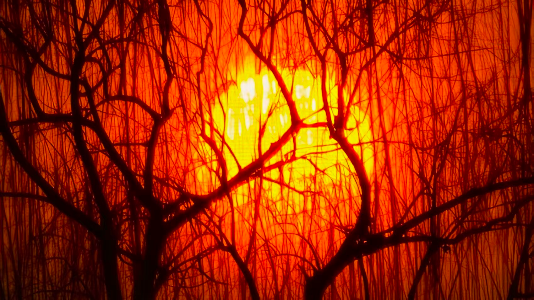 “五九”临河！北京落日烁金，柳岸禽欢映斜阳