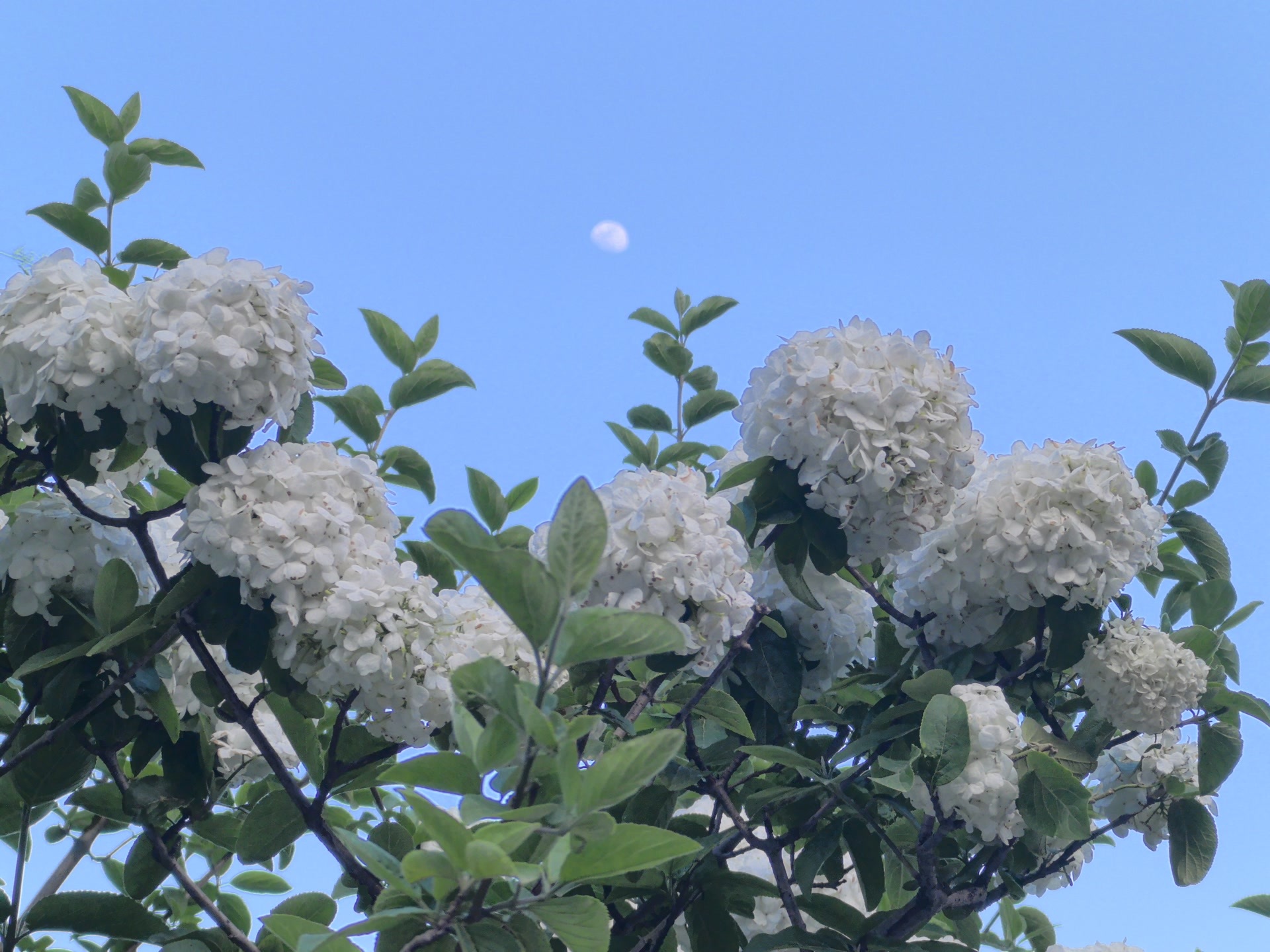 北京蓝天：晴空如洗，云涌如潮