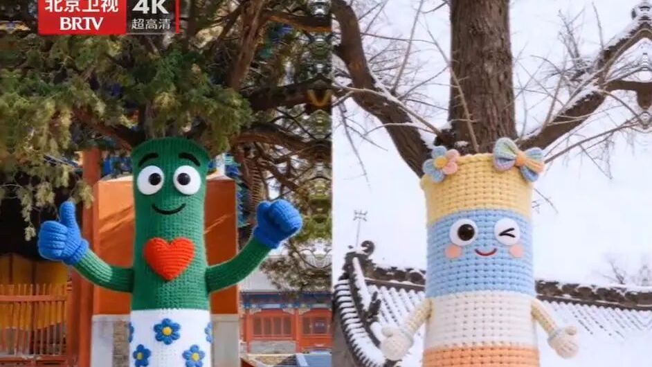“我给大树织毛衣”，北京台春晚的“烟火气”让人着迷