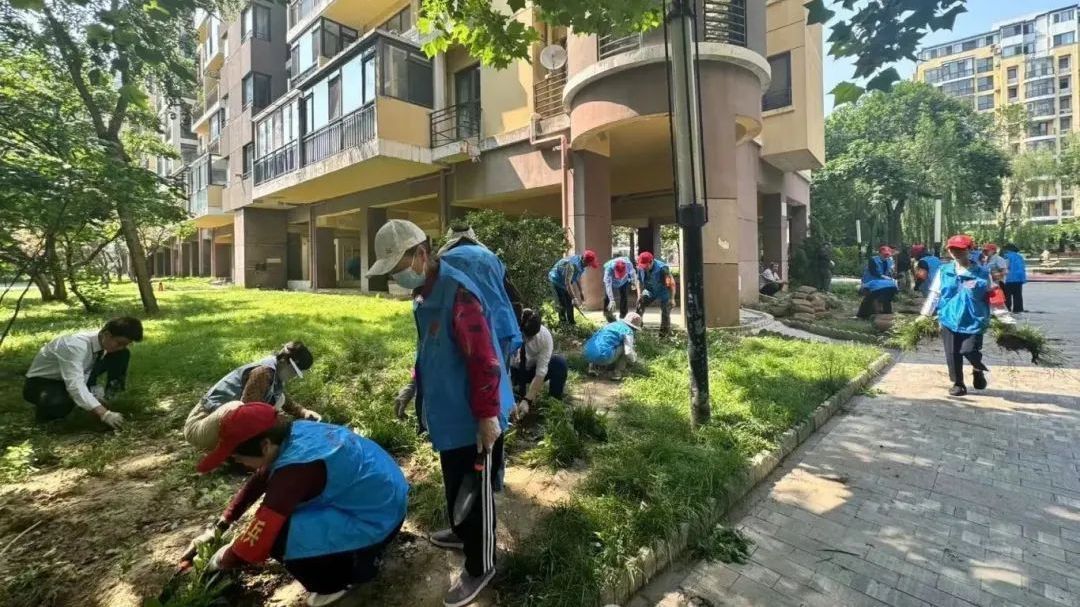 共朝美好 阳光果岭| 果岭里社区开展“四叶共生”环境微治理活动 共朝美好 阳光果岭| 果岭里社区开展“四叶共生”环境微治理活动
