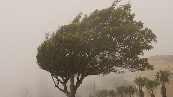 大风+阵雨+沙尘！今天下午，京城天气需注意防范