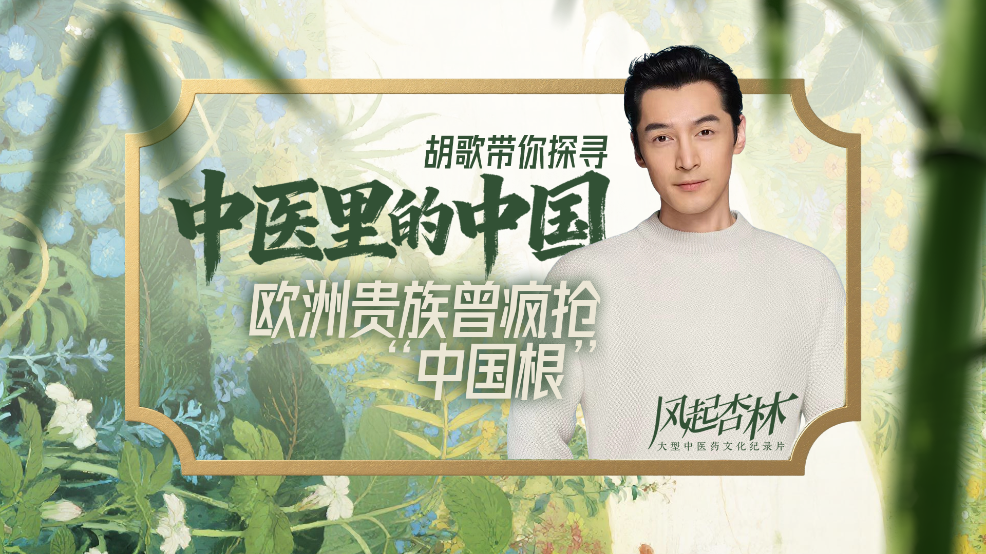 医者|胡歌带你探寻 中医里的中国 欧洲贵族曾疯抢“中国根” 医者|胡歌带你探寻 中医里的中国 欧洲贵族曾疯抢“中国根”