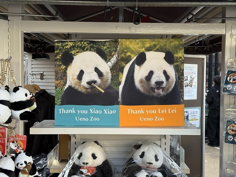 大熊猫“晓晓”和“蕾蕾”将于27日从日本启程回国 大熊猫“晓晓”和“蕾蕾”将于27日从日本启程回国