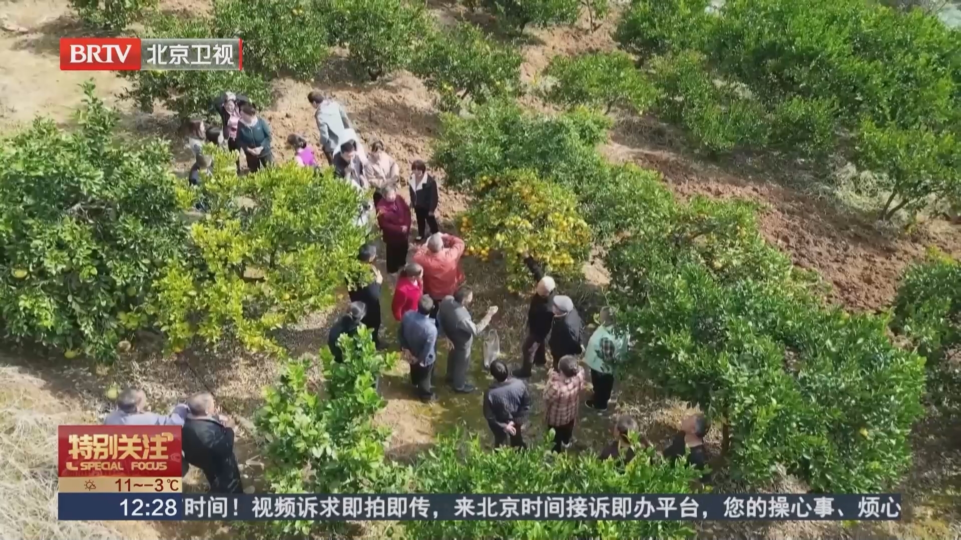 赏菊 品菊 平谷菊花主题餐厅打造“美丽经济” 赏菊 品菊 平谷菊花主题餐厅打造“美丽经济”