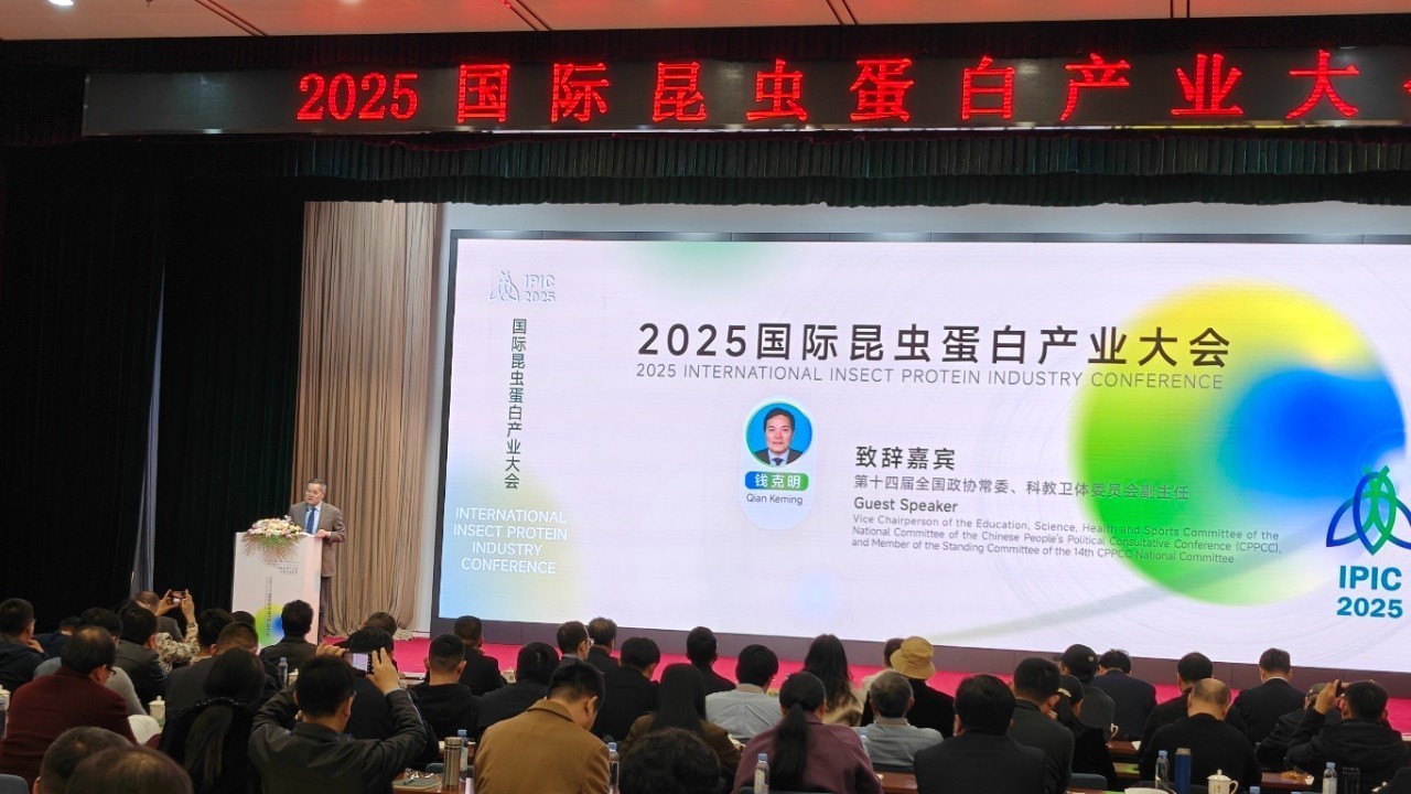 替代蛋白 昆虫来“当家” 2025国际昆虫蛋白产业大会在京举行
