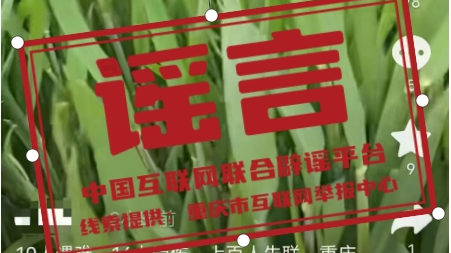 辟谣丨重庆一工业园区着火10人遇难上百人失联? 辟谣丨重庆一工业园区着火10人遇难上百人失联?