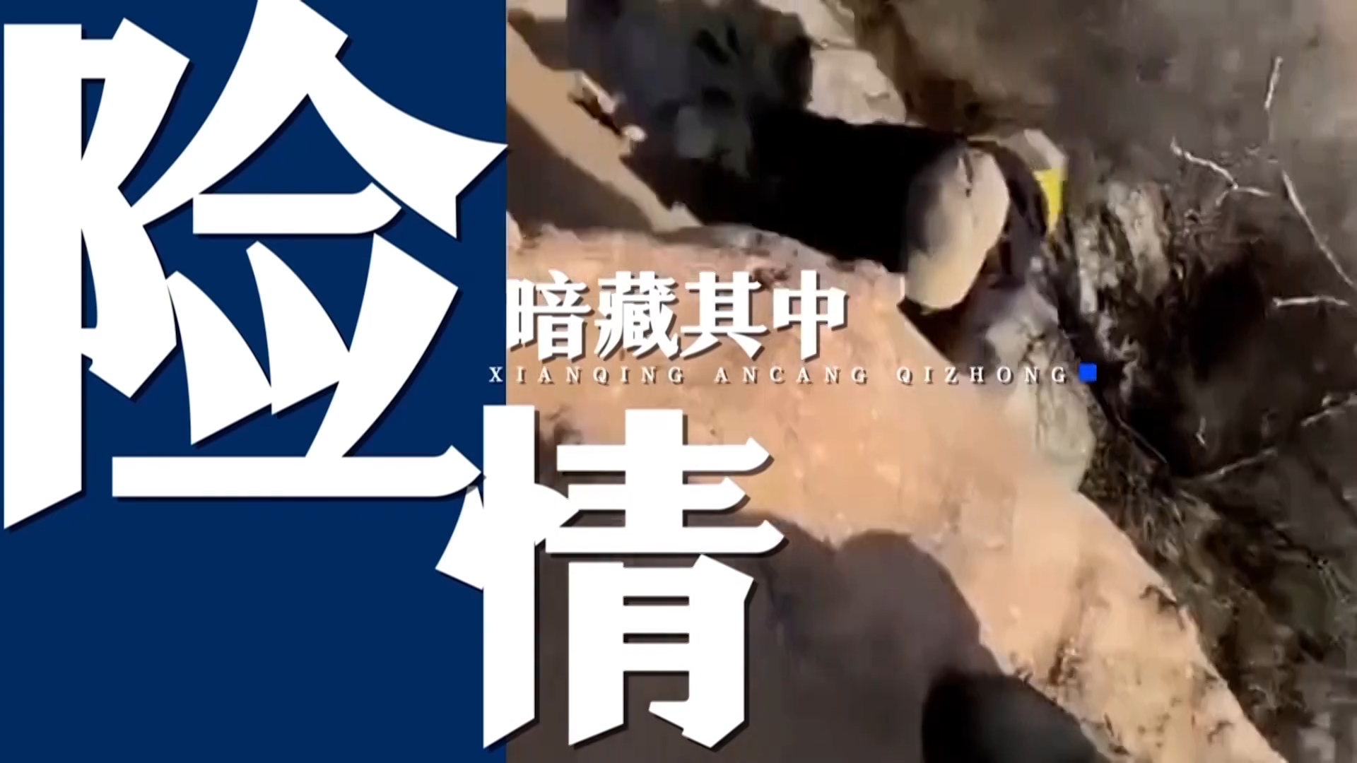 《莫向野山行》第四集:广袤山野藏着绝美风光,也藏着“绝命”的深渊 《莫向野山行》第四集:广袤山野藏着绝美风光,也藏着“绝命”的深渊