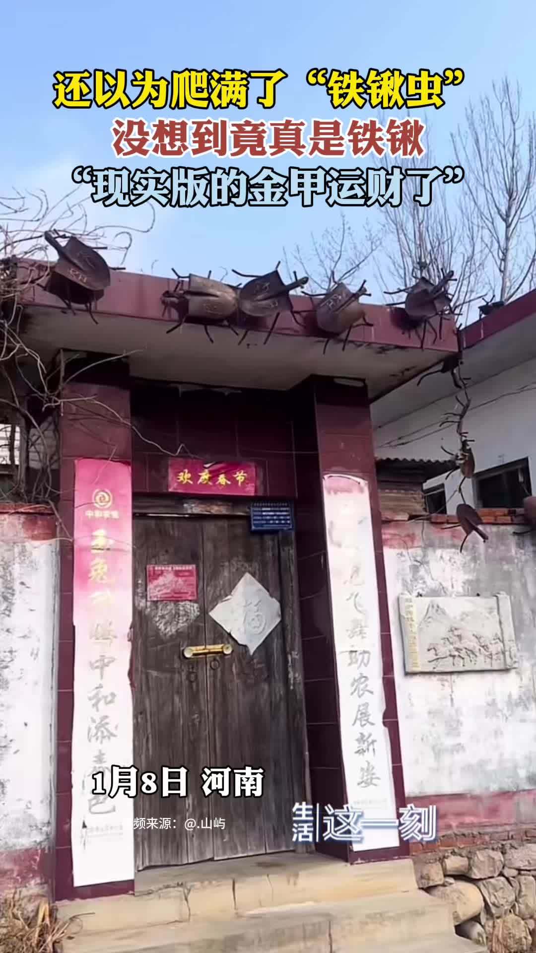 还以为爬满了虫子竟是铁锹 “现实版的金甲运财了!” 还以为爬满了虫子竟是铁锹 “现实版的金甲运财了!”