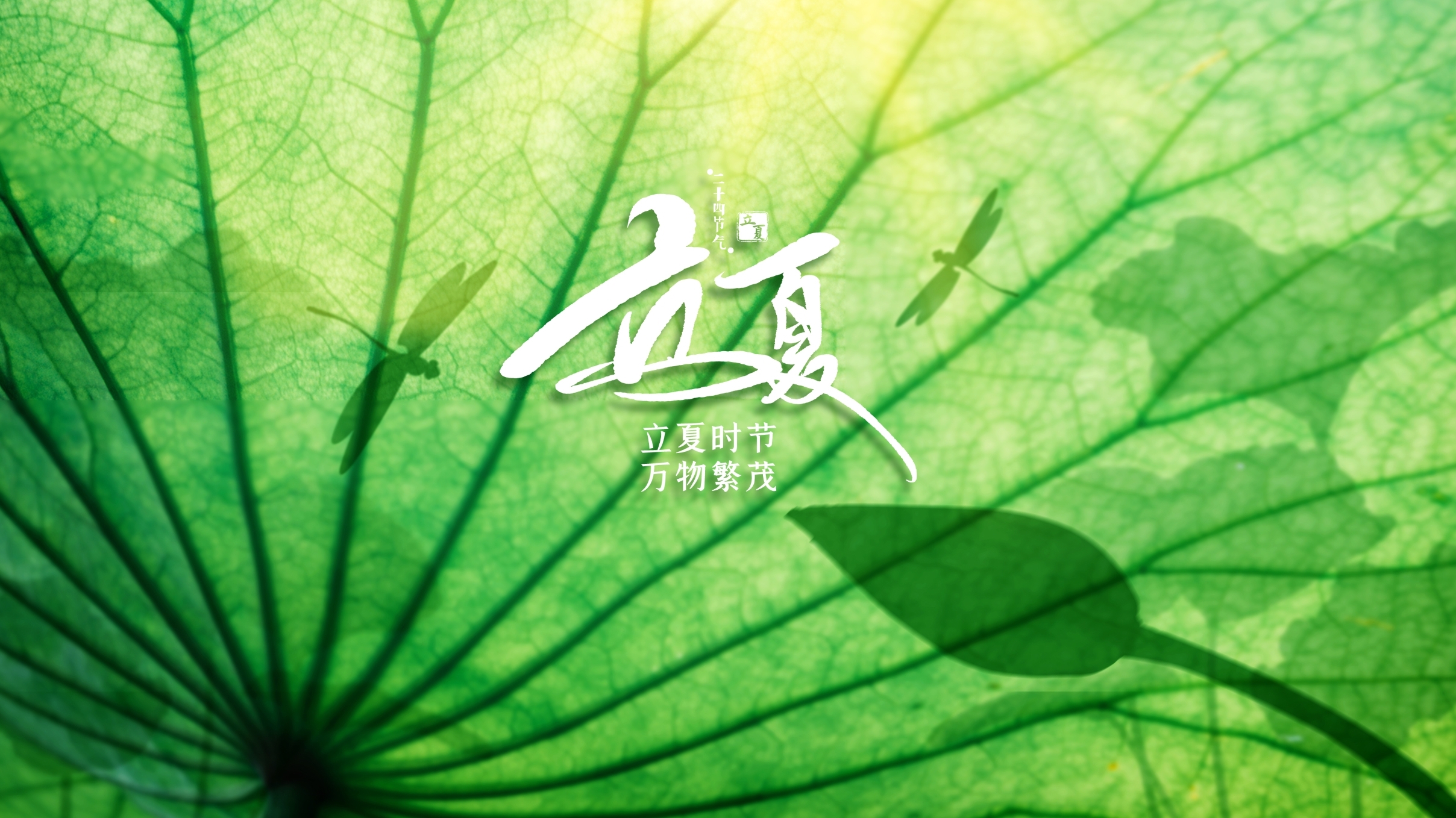 立夏养生秘籍：顺应时节，穴位按摩助健康