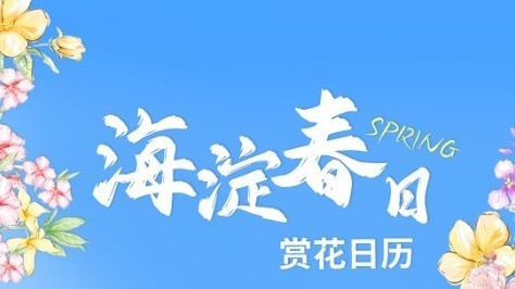 收下这份海淀赏花日历,将春日繁花尽收眼底 收下这份海淀赏花日历,将春日繁花尽收眼底