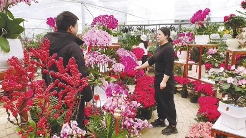 对口协作“花”漾十堰，鄂西北花木大世界年味正浓