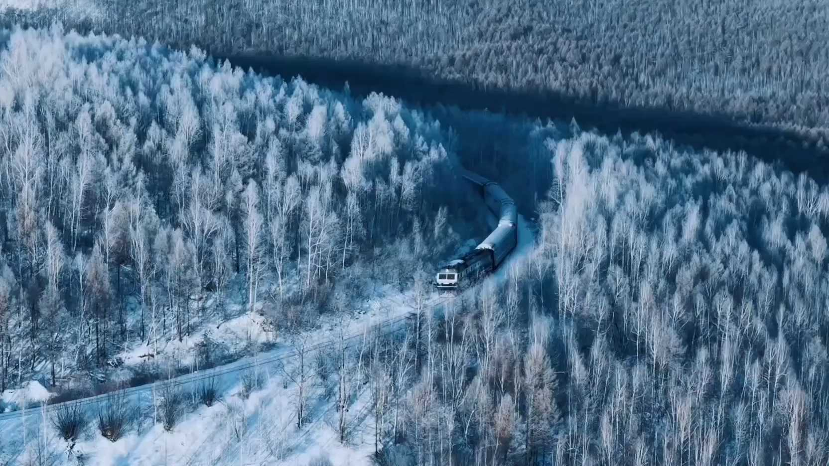 一饱眼福！雾凇给呼伦贝尔林海挂上“冰雪糖霜”