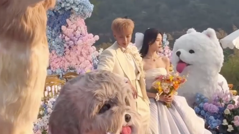 ​京郊美食争霸赛即将开启新篇章！