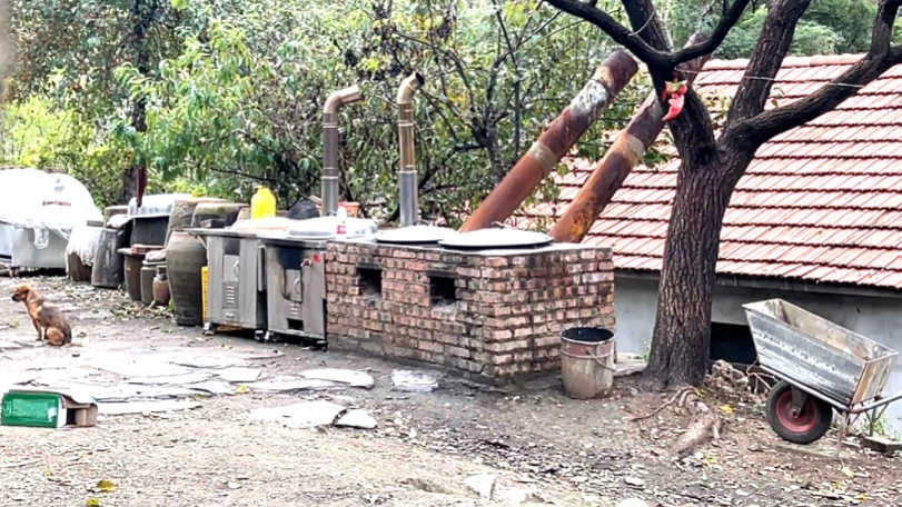 处罚165万元！网红“东北雨姐”虚假宣传