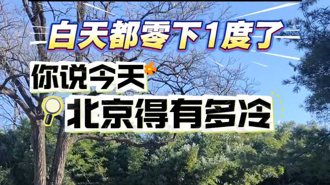 瑟瑟发抖！北京-1℃叠加7级阵风，今日“冰冻”模式在线