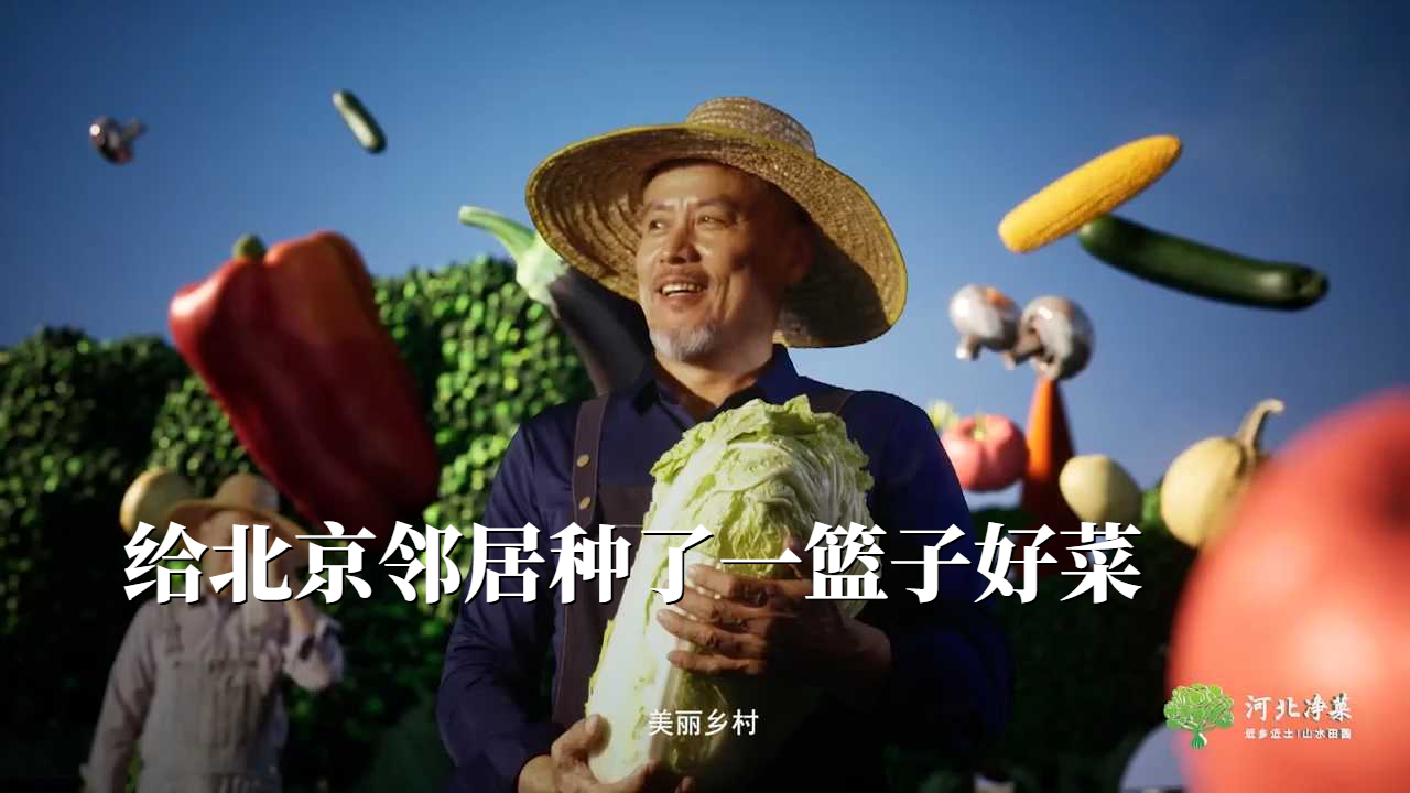 【河北净菜】河北老乡的硬核浪漫:给北京邻居种了一篮子好菜 【河北净菜】河北老乡的硬核浪漫:给北京邻居种了一篮子好菜