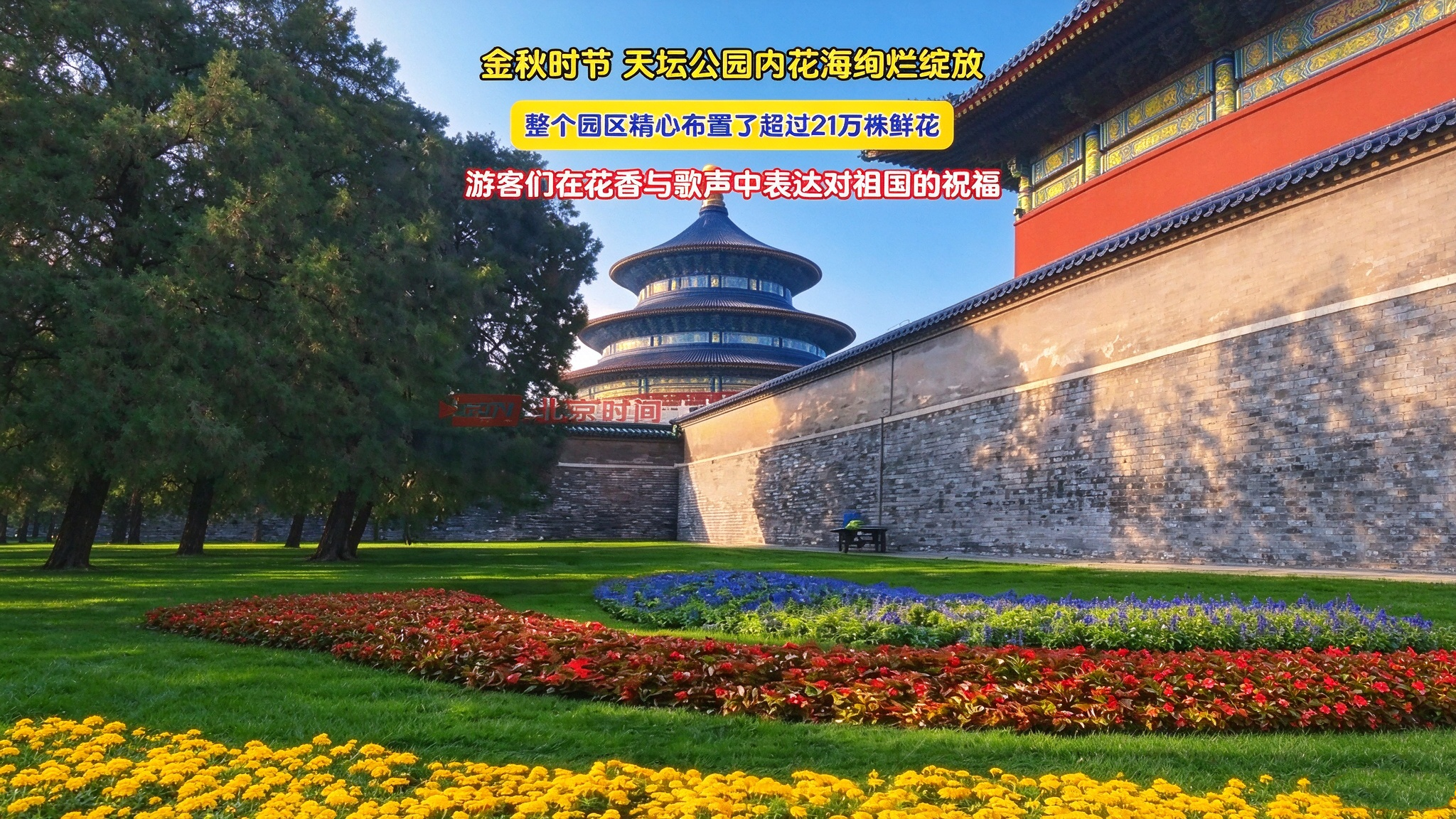 金秋时节 天坛公园内花海绚烂绽放