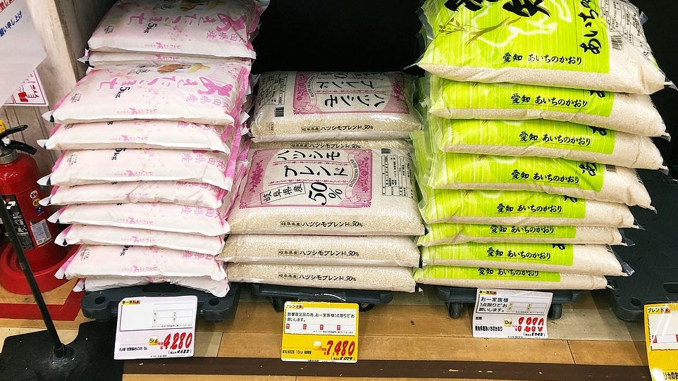 涨幅达67.5%！日本米价高企加重民生负担