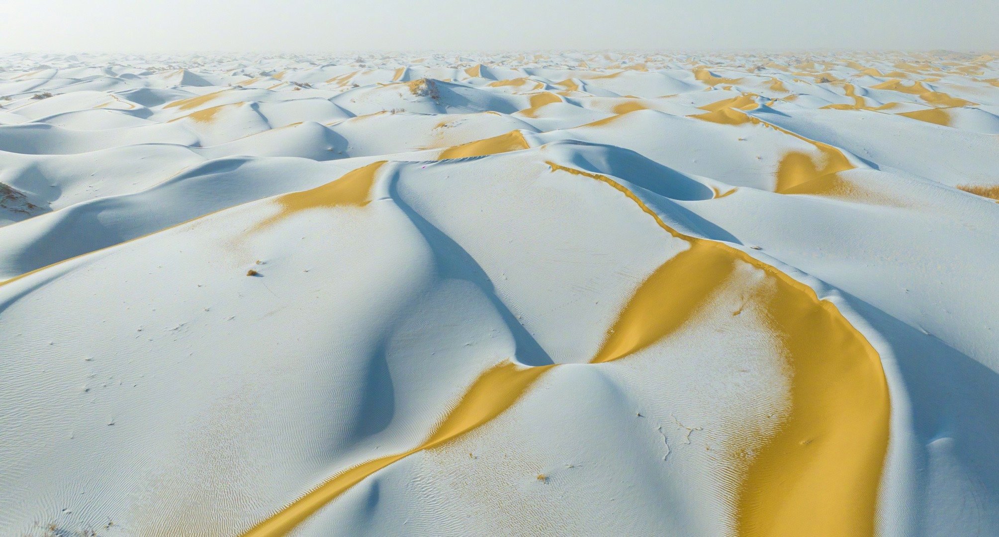 好美！塔克拉玛干沙漠雪顶咖啡又上新