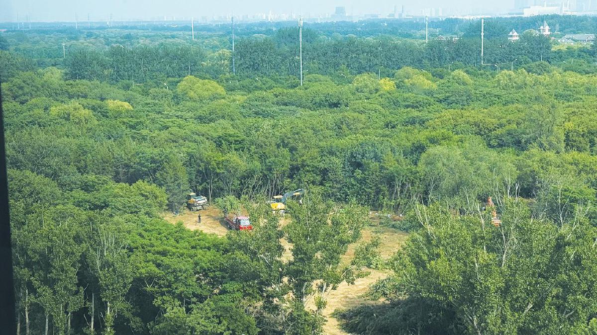 东坝开发项目停工？为鹭“让路”照见北京生态治理温度