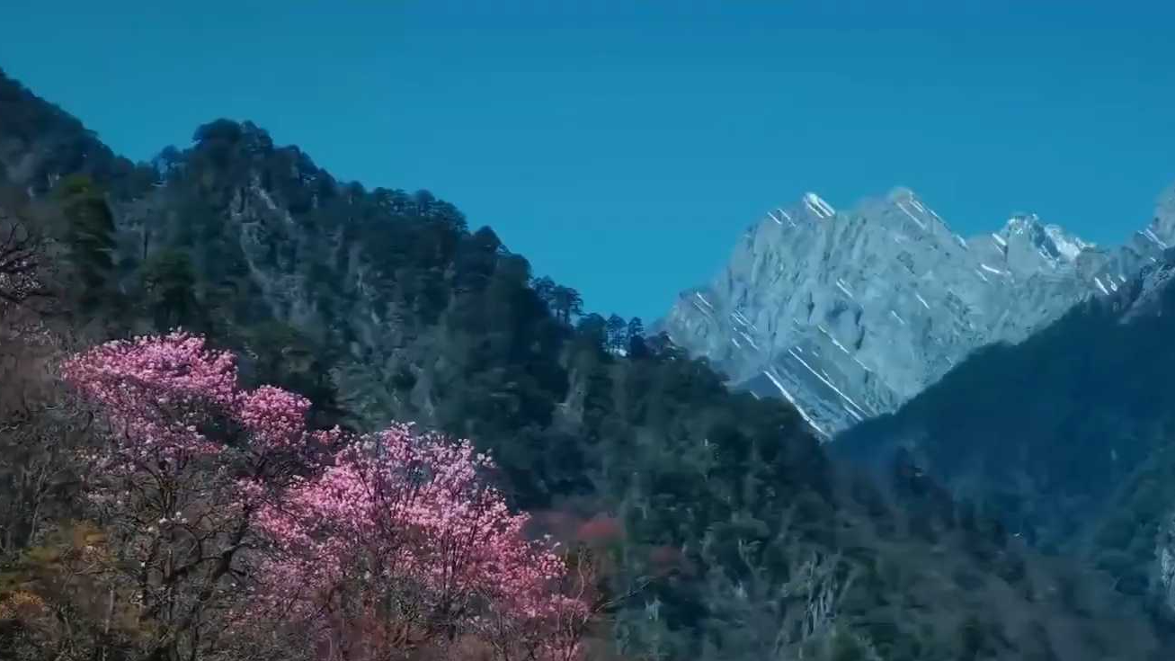 宛若打翻调色盘,东拉山大峡谷彩林如画 宛若打翻调色盘,东拉山大峡谷彩林如画