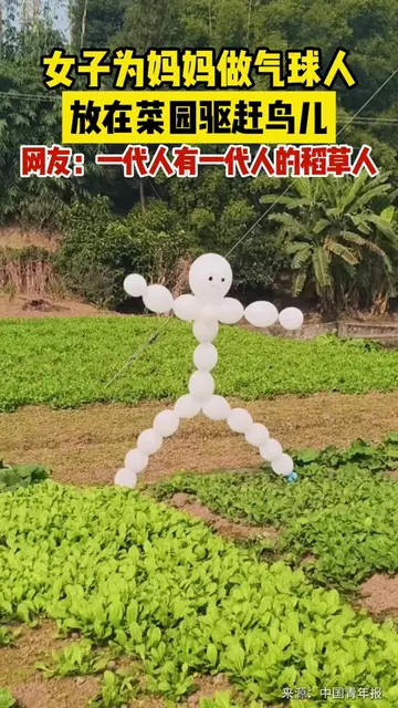 女子为妈妈做气球人放在菜园驱赶鸟儿 网友:一代人有一代人的稻草人 女子为妈妈做气球人放在菜园驱赶鸟儿 网友:一代人有一代人的稻草人
